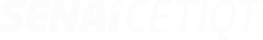 Logo SENAI CETIQT